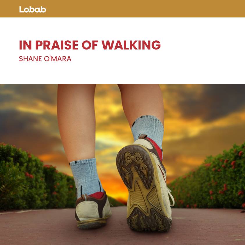 In Praise Of Walking