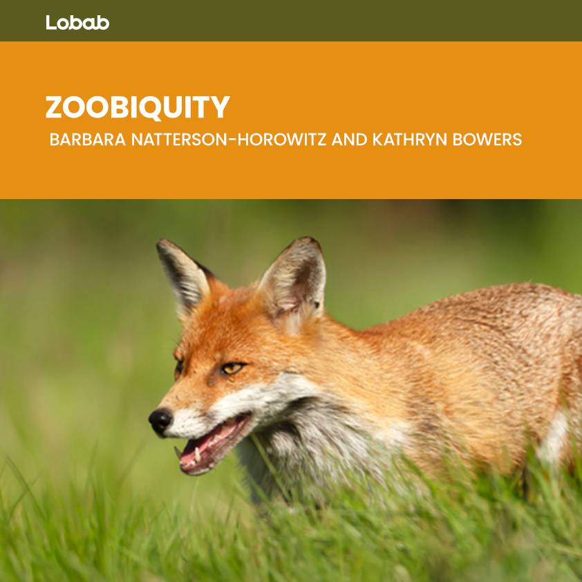 Zoobiquity