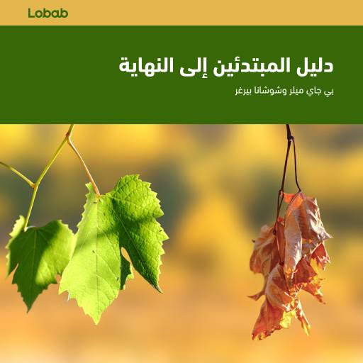 دليل المبتدئين إلى النهاية