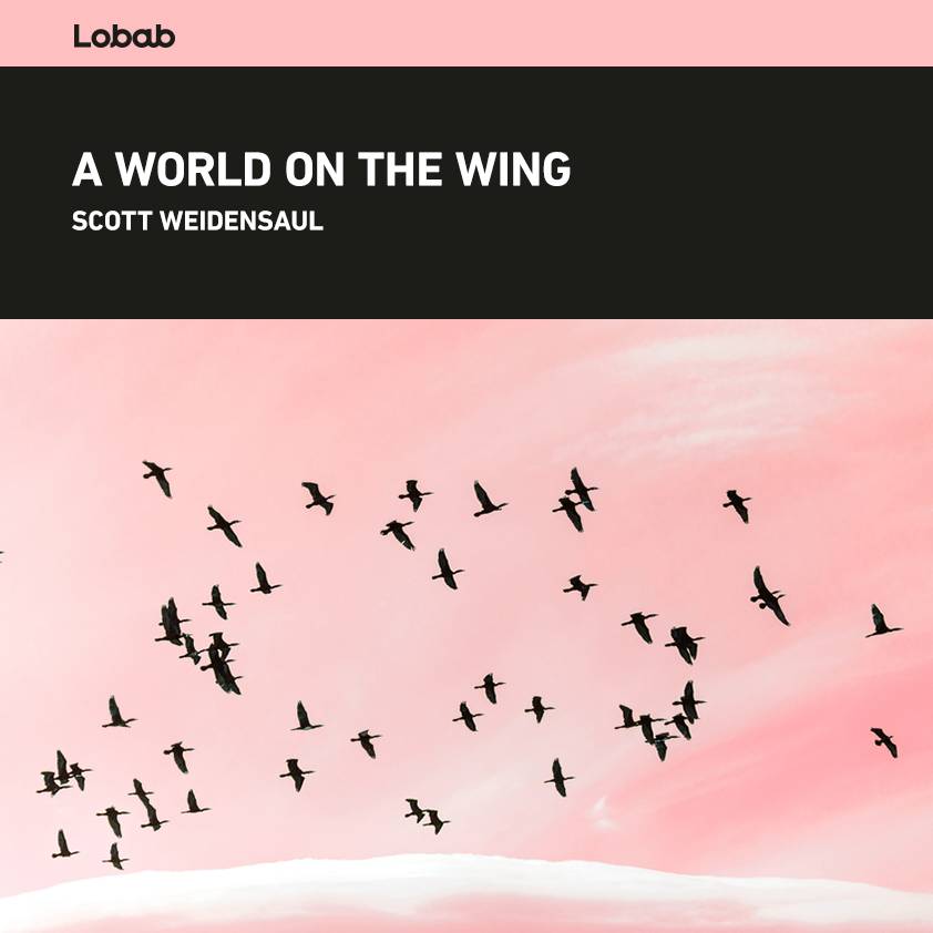 A World on the Wing