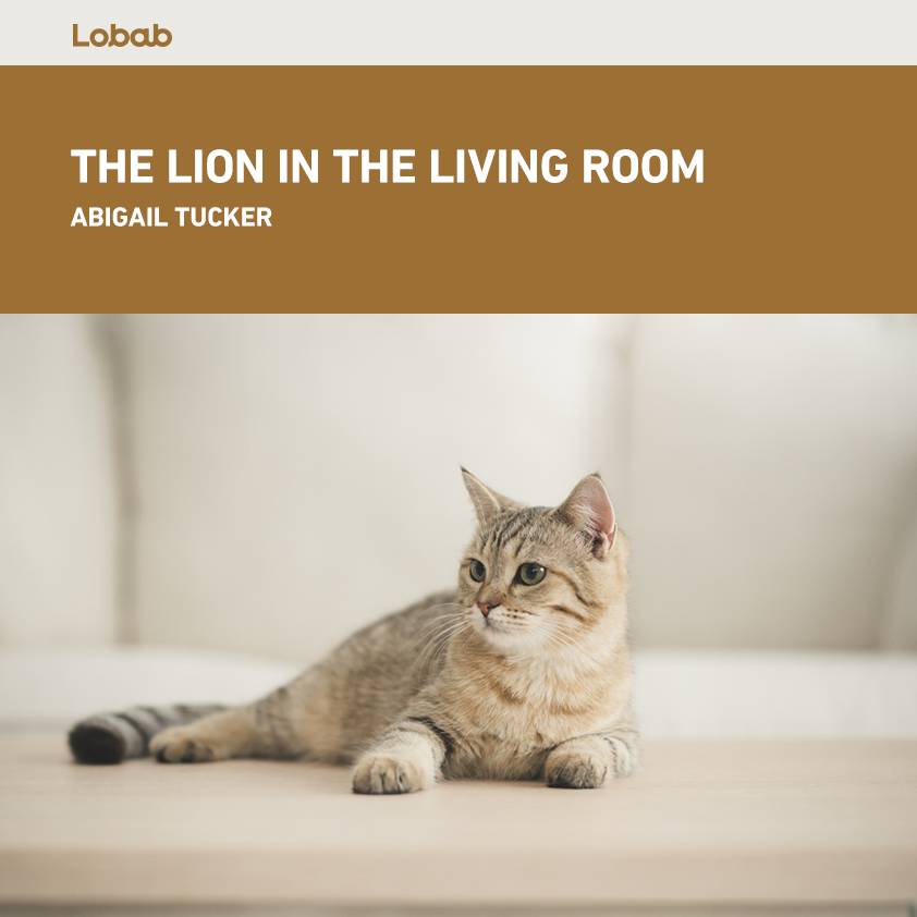 The Lion in the Living Room