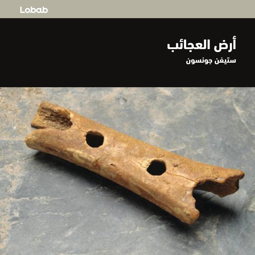 أرض العجائب